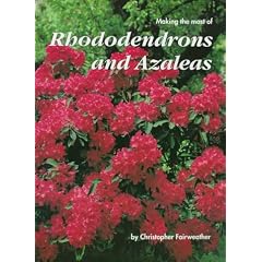 Making Most of Rhododendrons and Azaleas