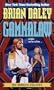 The Broken Country: Book 3 of Gamma Law (Gammalaw,Bk 3)