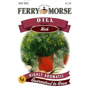 Herb Dill Bouquet Seeds Packet