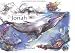 The Book of Jonah: Illustrated for Children by Niko Chocheli