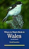 Where to watch birds in Wales