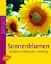 Sonnenblumen