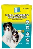 OUT! Premium Ultra Absorbent Training Pads, 16-Count