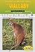 The Wallaby (Endangered and Threatened Animals)