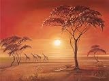 Eurographics B-LEW1116 Leon Wells, Etosha 29 x 39 cm, Dekoboxbild (keine Einrahmung nötig) - Afrika - Landschaft