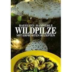 Wildpilze