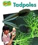 Tadpoles (Minipets)