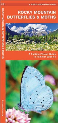 rocky mountain butterflies  moths a folding pocket guide to familiar species pocket naturalist guide series