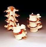 4 Piece Lumbar Set-CHLS4