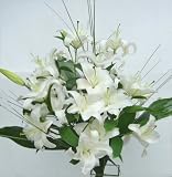 Review Miraflores  / Flowers Oriental Liles, Elegance