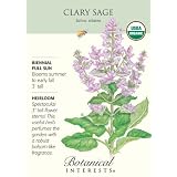 Organic Clary Sage Seeds
