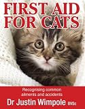 First Aid for Cats