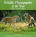 Wildlife Photographer of the Year: Portfolio Two