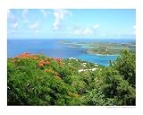 Caribbean Paradise Places RePoster Print Poster by Eric Zdanowicz, 10x8