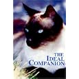 The Ideal Companion