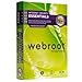 Webroot Internet