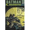 Bruce Wayne, Fugitive (Batman Beyond (DC Comics))