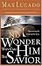 No Wonder They Call Him the Savior: Experiencing the Truth of the Cross (Lucado, Max)