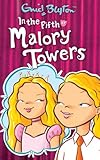 In the fifth at Malory Towers
