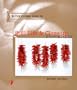 STILL LIFE & CLOSEUP PHOTOGRAPHY (Better Picture Guides)