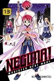 Negima!: Magister Negi Magi, Volume 13