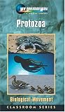 Protozoa [VHS]