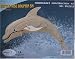 Bottle Nose Dolphin Woodcraft Construction Kit