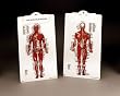 Muscle Man Plastic Clipboard-8946PCB