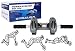 Strauss Power Stretch Roller RS.599.00