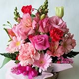 �G�߂̂��Ԃ��܂����t�����[�A�����W�����gB(�s���N�n)�u�a�����v�u���j���v�u���������v�u���w�j���v�u�M�t�g�v�u�Ԃ̎Y�n��t���َR���甭���v