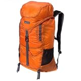 【正規取扱店製品】patagonia パタゴニア ライトウェイトトラベルパック 48817 朝市