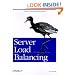 Server Load Balancing