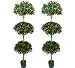 TWO Pre-Potted 6' Sweet Bay Leaves Artificial Triple Topiary