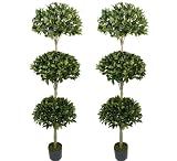 TWO Pre-Potted 6' Sweet Bay Leaves Artificial Triple Topiary