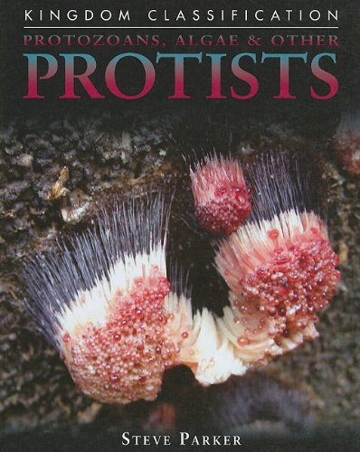 Protozoans, Algae & Other Protists (Kingdom Classifications)