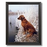 Golden Retriever Dog Lake Duck Animal Landscape Home Decor Wall Picture Black Framed Art Print