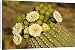 Canvas Prints of TD-1750 Giant Saguaro - With buds and flowers from Ardea Wildlife Pets