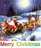 Cat O ´ Nine Tails 16x9 Widescreen TV: Greeting Card: Merry Christmas - B000A1HBOW