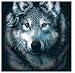 Silver Scraperfoil Kit -Wolf
