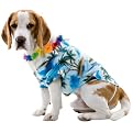 Hawaiian Dog Pet Costume