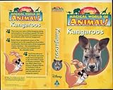 Disney`s Magical World of Animals : Kangaroos (Video Tape/PAL)