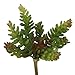 Generic Artificial 7-branch Bunch Succulent Floral Foliage Fake Plant Home Decor