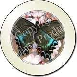 NEW-BLACK BUTTERFLY Tax Disc Holder