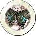 NEW-BLACK BUTTERFLY Tax Disc Holder