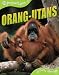 Orang-utans (QED Animal Lives) by Sally Morgan