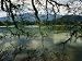 Moss-Covered Branches Reach Out over a Lake at Bukit Larut Photographic Poster Print