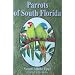 Parrots of South Florida