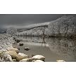 Frozen Lake and Trees Gallery Wrapped Canvas - 24x36"