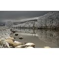 Frozen Lake and Trees Gallery Wrapped Canvas - 24x36"