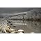 Frozen Lake and Trees Gallery Wrapped Canvas - 24x36"